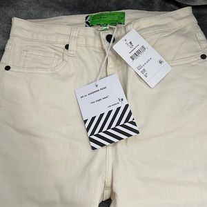 NWT Sandrine Rose Jeans X Free People Alpes Skinny Jeans -1